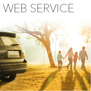 WEB SERVICE