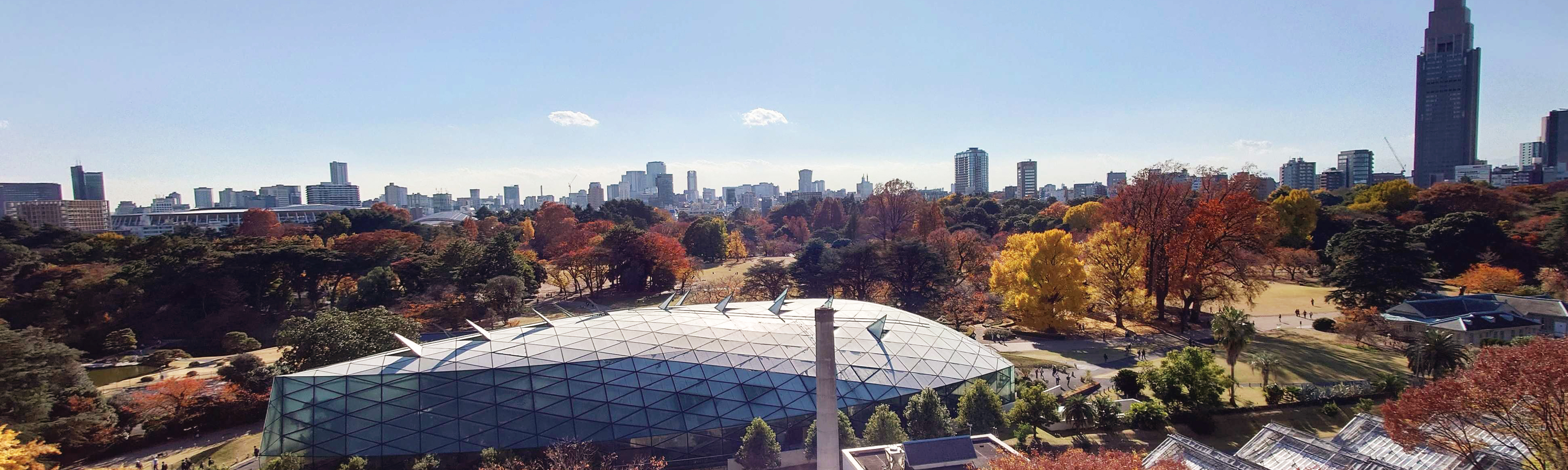 Shinjuku Gyoen Autumn